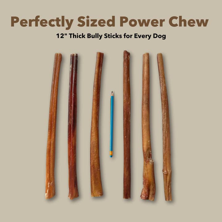 Mighty Chewz - Wholesale Pet Treats - Dog - 12" Thick Bulk Bully Sticks (Case Price: $3.33/Stick)4