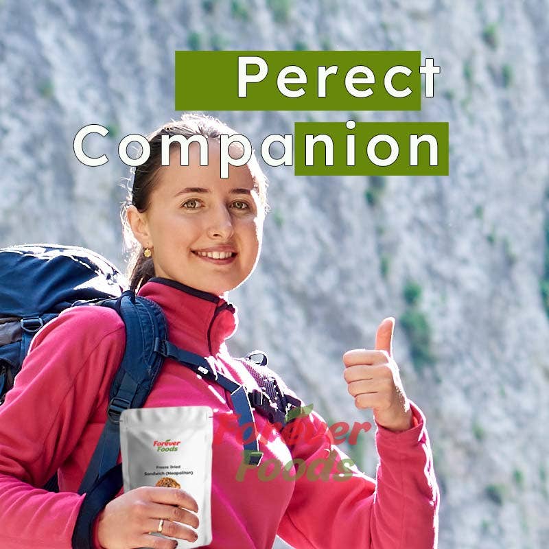 Forever Foods - Wholesale Ice Cream/Sorbet - Freeze Dried Golden Gaytime1