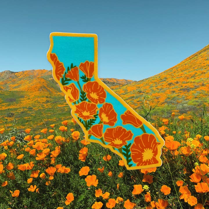 Lil Boat Boutique - Wholesale Sticker - California Poppy 3" Vinyl Sticker State Flower Series3