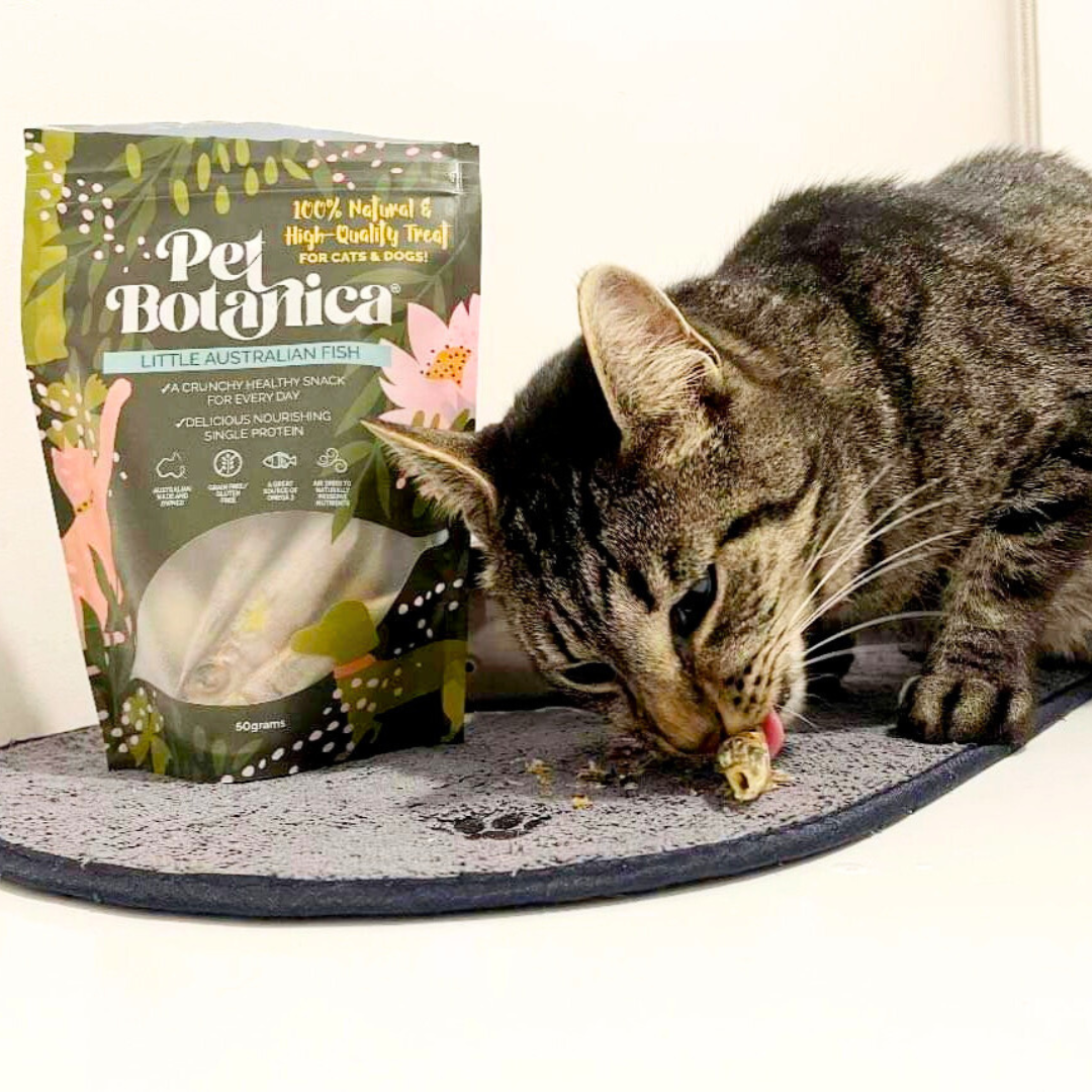 Pet Botanica - Wholesale Pet treats – Dog - Little Australian Fish Pet Treats | Dog Treats | Cat Treats2