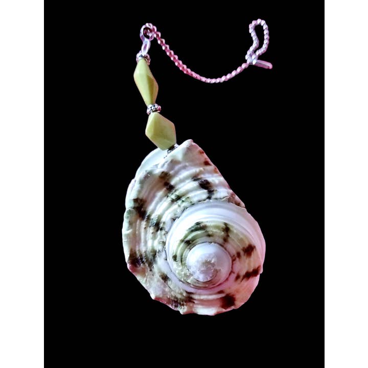 Shell We Sea Designs - Wholesale Decorative Tabletop Object - Medium AUTHENTIC Seashell Beach Ceiling Fan Light Pull Chain11