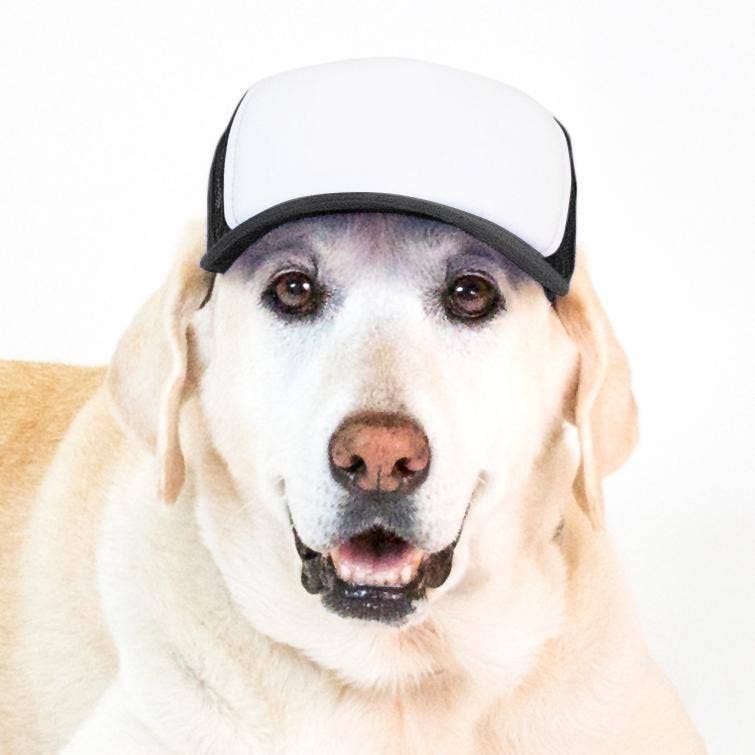 PupLid – wholesale Hatt - Hund – Blank Foam truckerkeps för hundar18