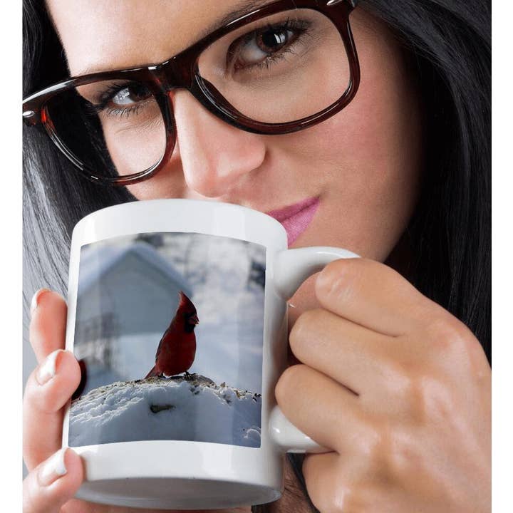 3dRose - Wholesale Coffee Mug - 3dRose, Male Redbird on Rock, Mug9