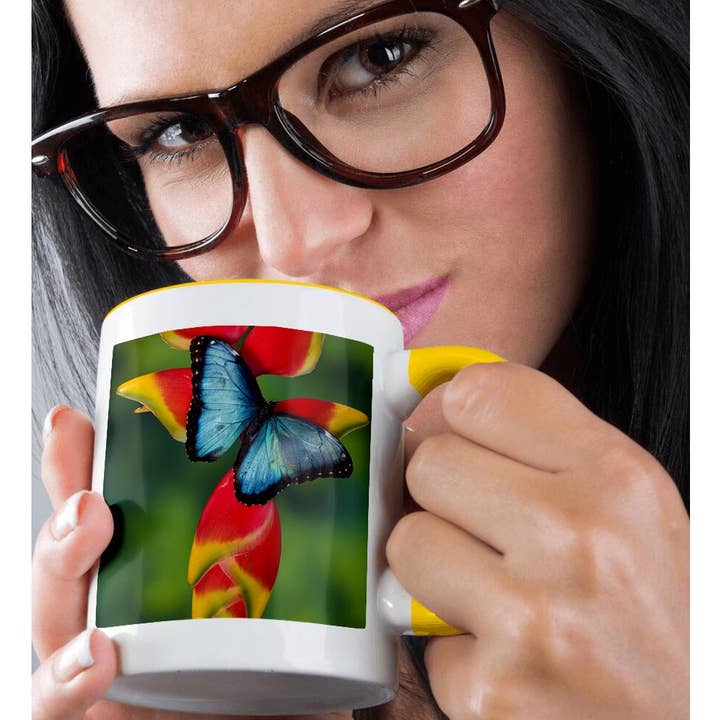 3dRose - Wholesale Coffee Mug - 3dRose, Blue Morpho Butterfly, Morpho granadensis, on Heliconia flower., Mug1