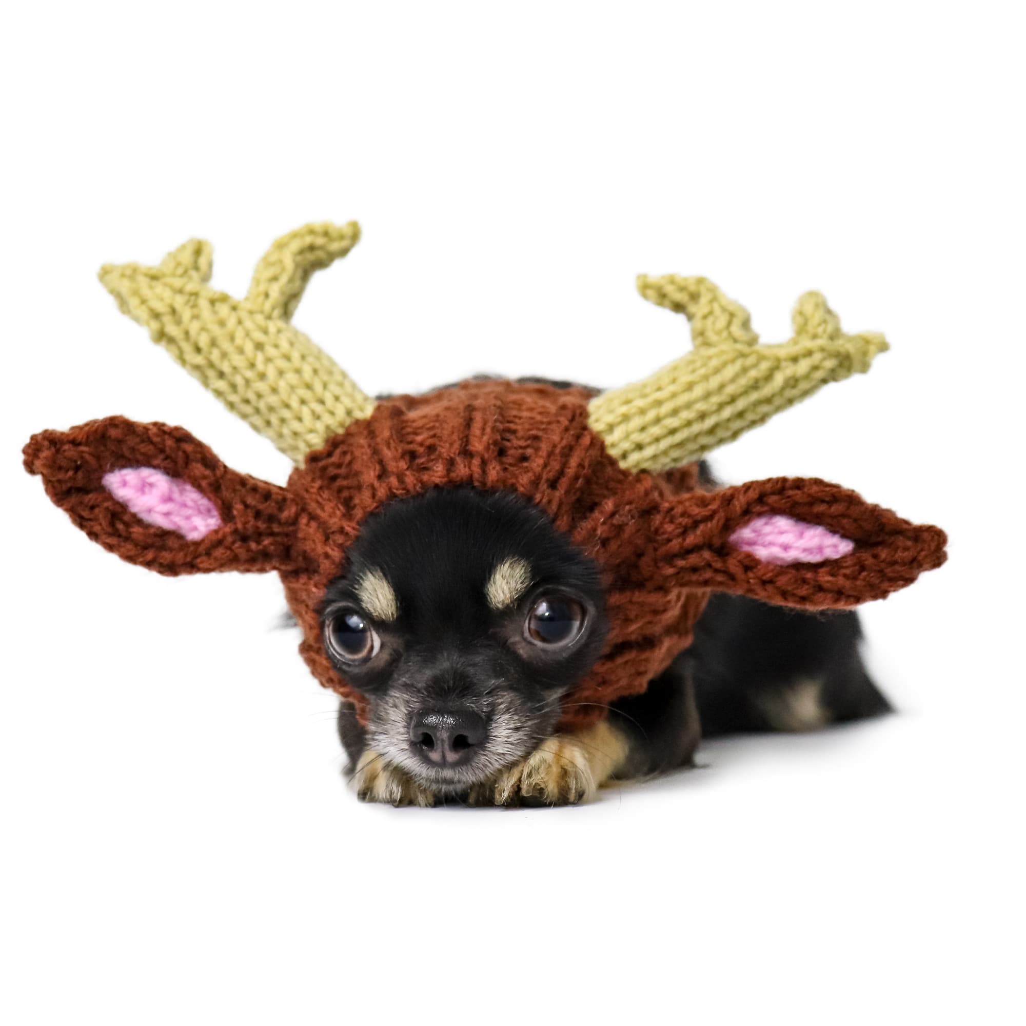Zoo Snoods - Wholesale Pet Snood - Dog - Reindeer Dog Snood0