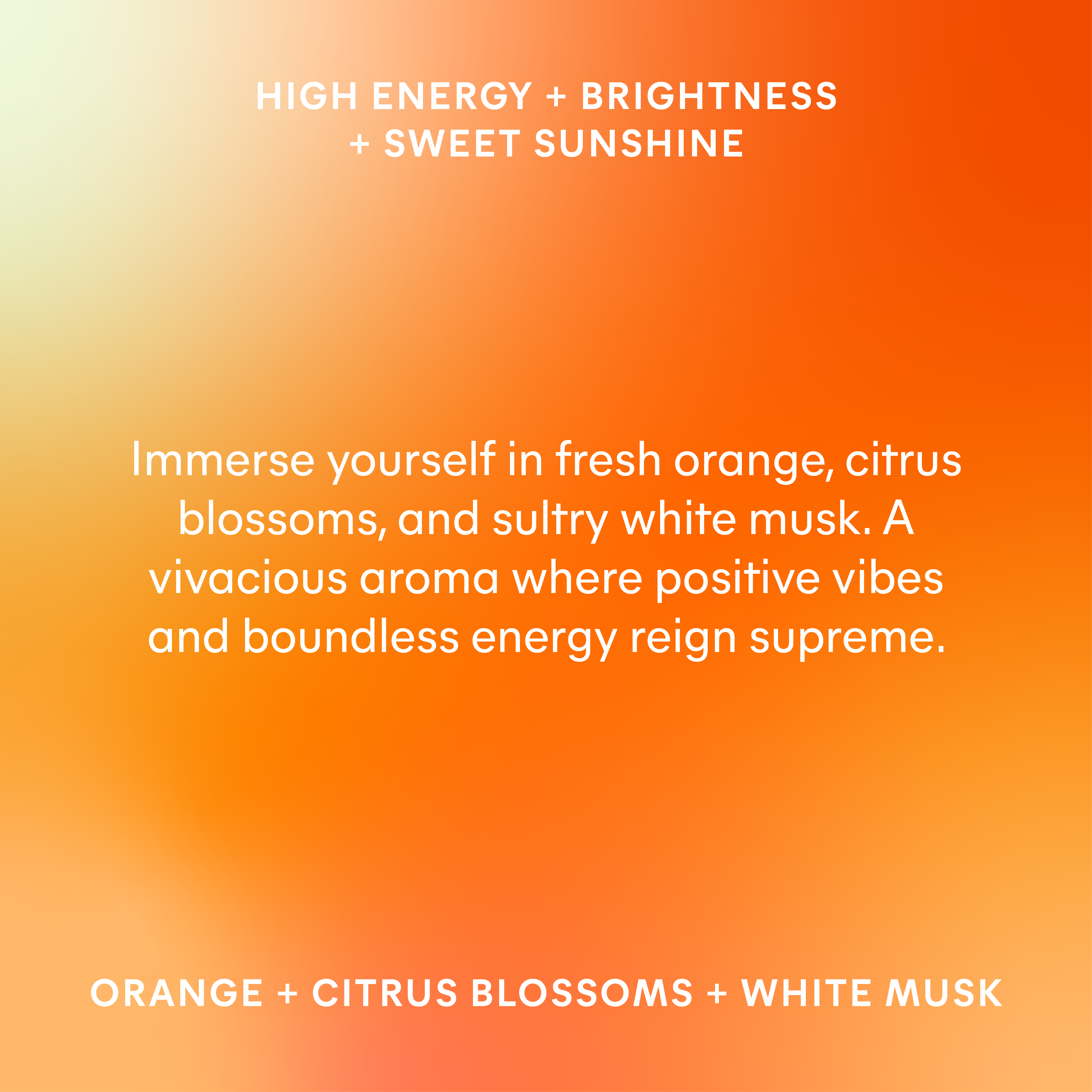 AromaTherapist - Venta al por mayor Recambios de fragancias de difusor - AromaPuck de Cítricos Exprimidos2