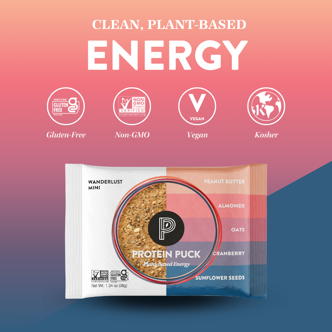 Protein Puck - Wholesale Snack Bar - Wanderlust Mini (Peanut Butter, Cranberry) (12- 1.34oz Bars)4