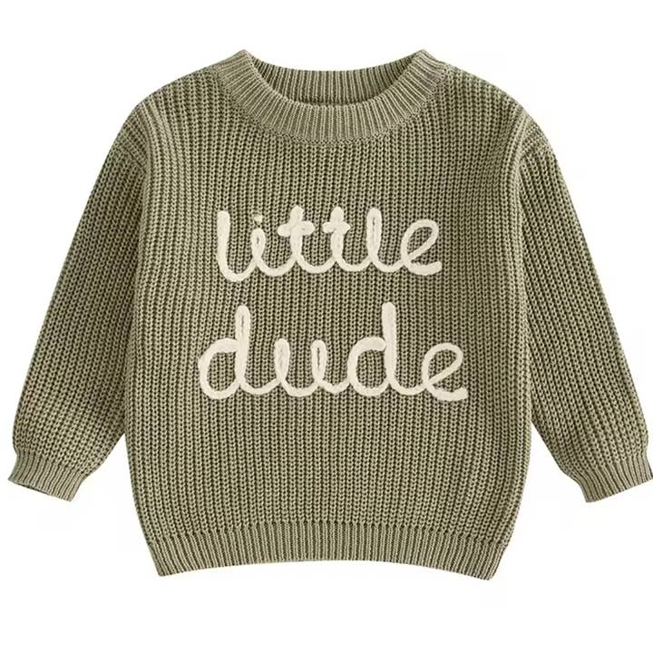 Kids Cotton Knit Boys Sweater: LITTLE DUDE Embroidered for wholesale by Dreamline