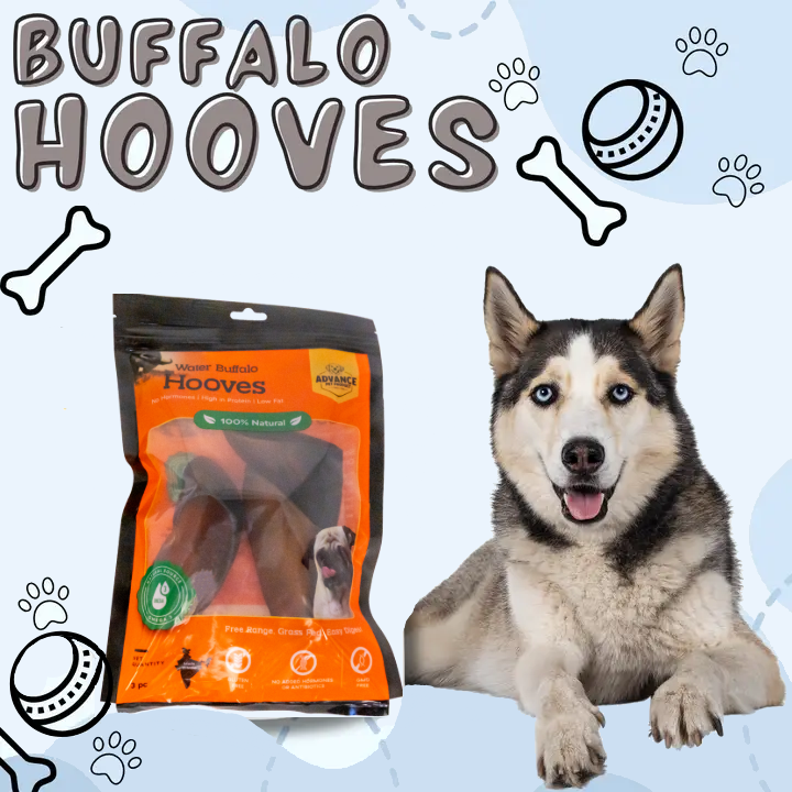 Advance Pet Products - Vente Friandises – chien - Sabots de buffle d'eau0