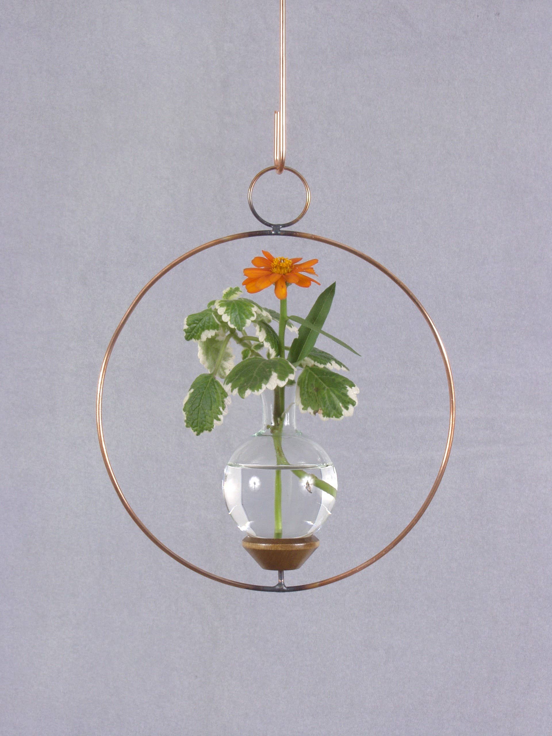 The Brass Butterfly - Wholesale Hanging Planter - Round Plant Propagation Rooting Vase3