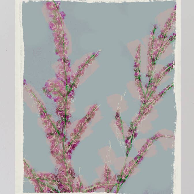 Gather Goods Co - Cards, Coasters, Tea Towels, Art, Mugs - Wholesale Everyday Greeting Card - Heather Blank Botanical Note Card