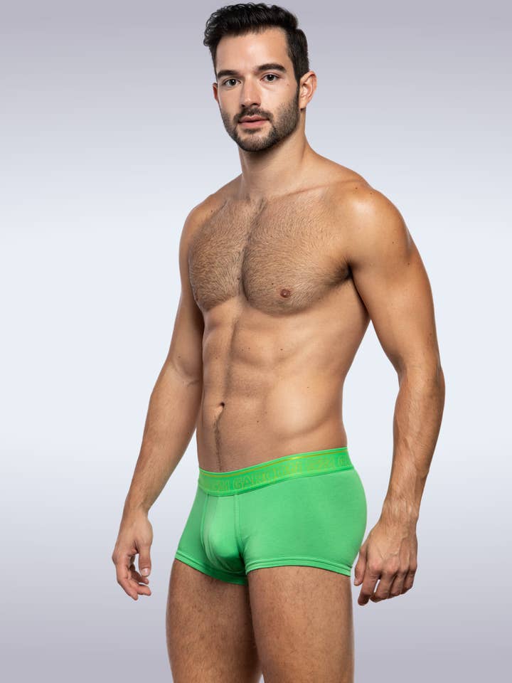 Green Bamboo Trunk for wholesale by GARCON® Underwear