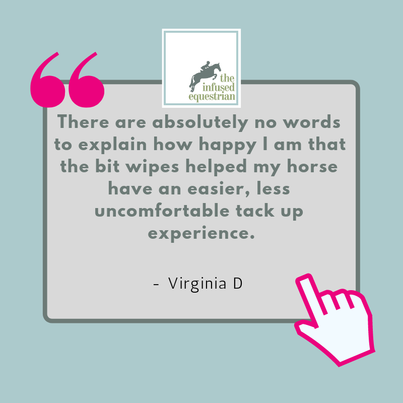 The Infused Equestrian – Condicionador de cavalo por atacado – puro. Um pouco de limpeza7