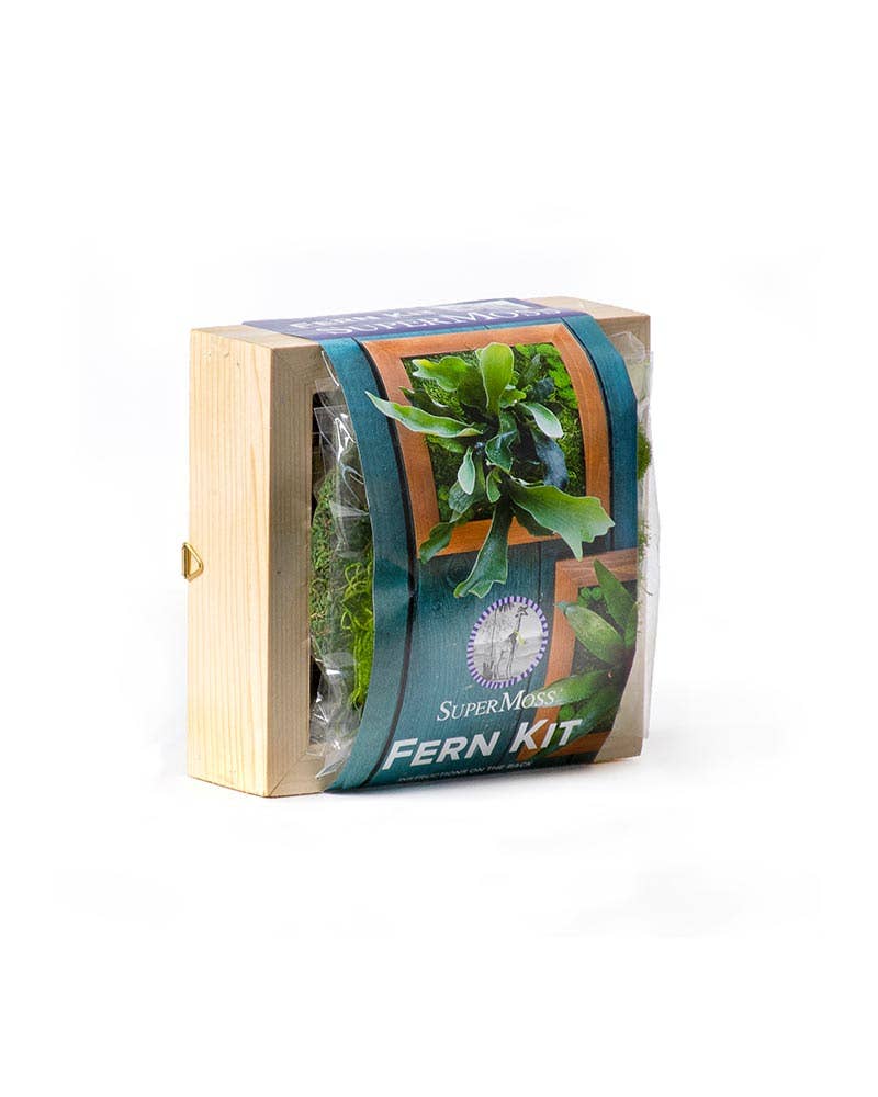 SuperMoss – wholesale DIY-pysselkit – Monterad ormbunkskit1