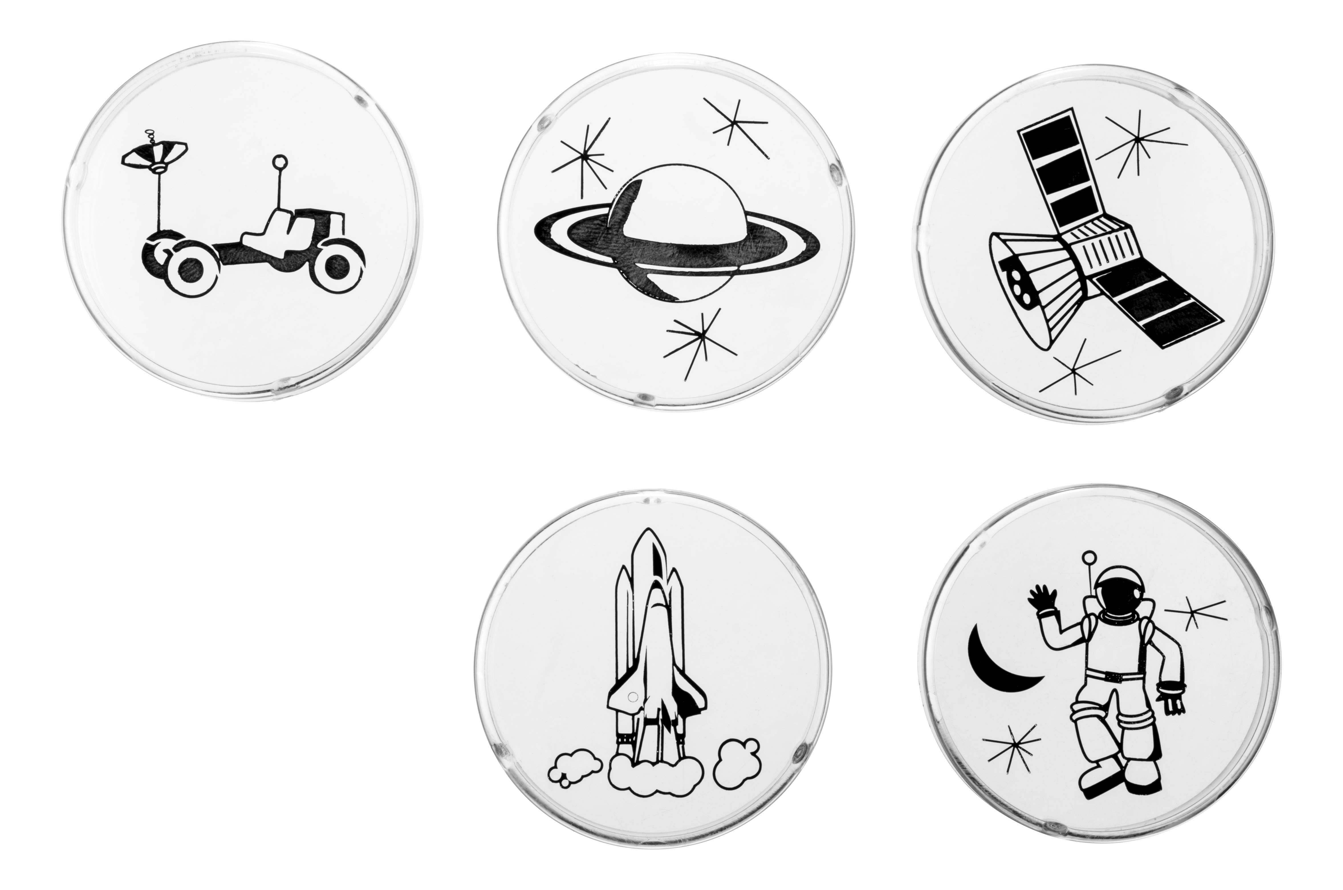 Toysmith - Wholesale Light-Up Toy - Kids & Baby - Mini LED Projector, Space, Jungle, Dinosaur, Assorted Colors1