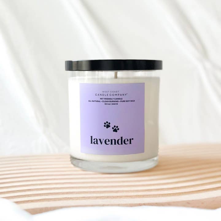 West Coast Candle Company - Vendita all'ingrosso Candela in vasetto - Candela alla lavanda