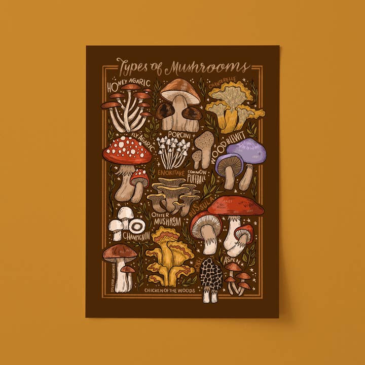 Impression artistique A3 | Tableau des champignons | Illustration botanique pour la vente par Stephanie Kate Illustration