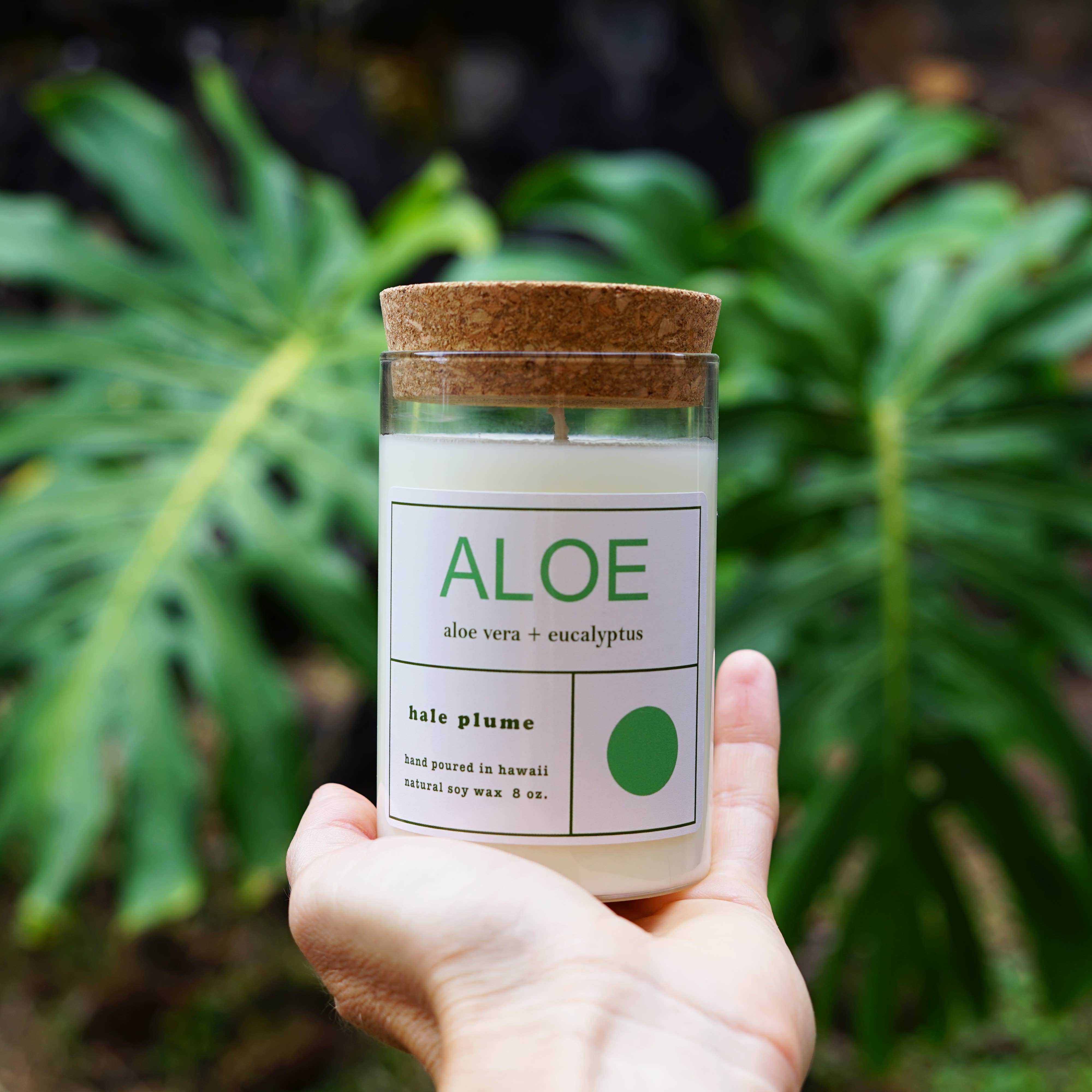 Hale Plume - Wholesale Jar/Filled Candle - ALOE Candle3