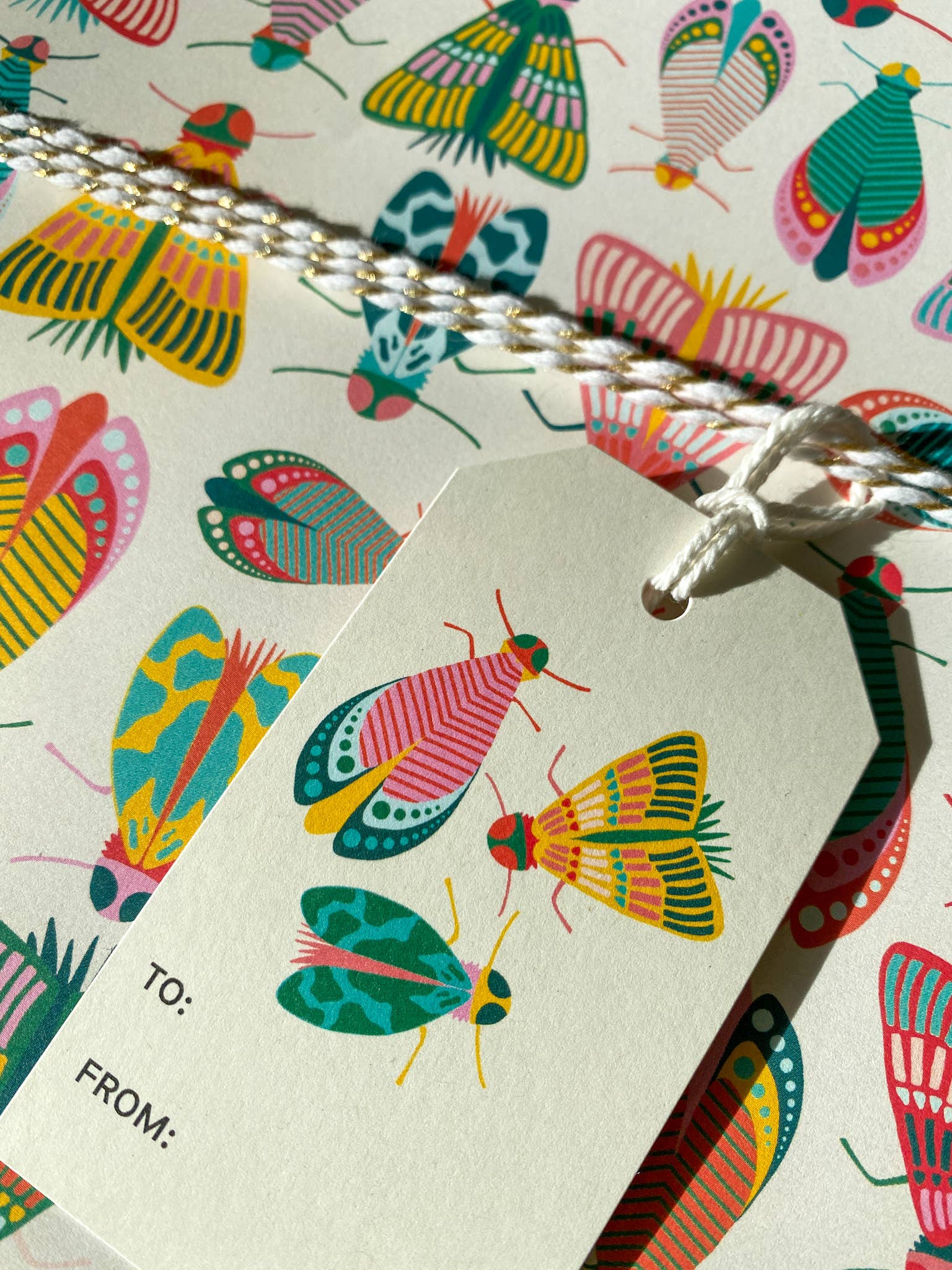 Rebecca Jane Woolbright - Vente Rouleau de papier cadeau - Papier Cadeau Éclat de Printemps – Emballage Cadeau Insectes Colorés (2 Feuilles)3