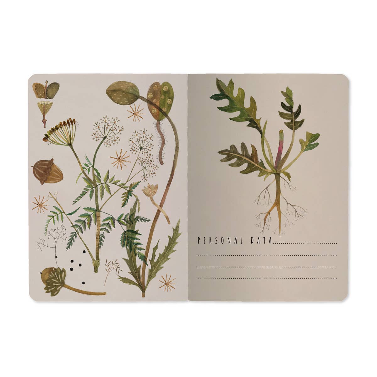 BV by Bruno Visconti - Wholesale Notebook - A6 Passport Notebook - Greens and Flowers1