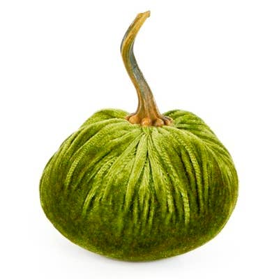 Flora Bunda Inc – Großhandel Tischdeko – Samtkürbis-Dekoration mit goldenem Stiel10