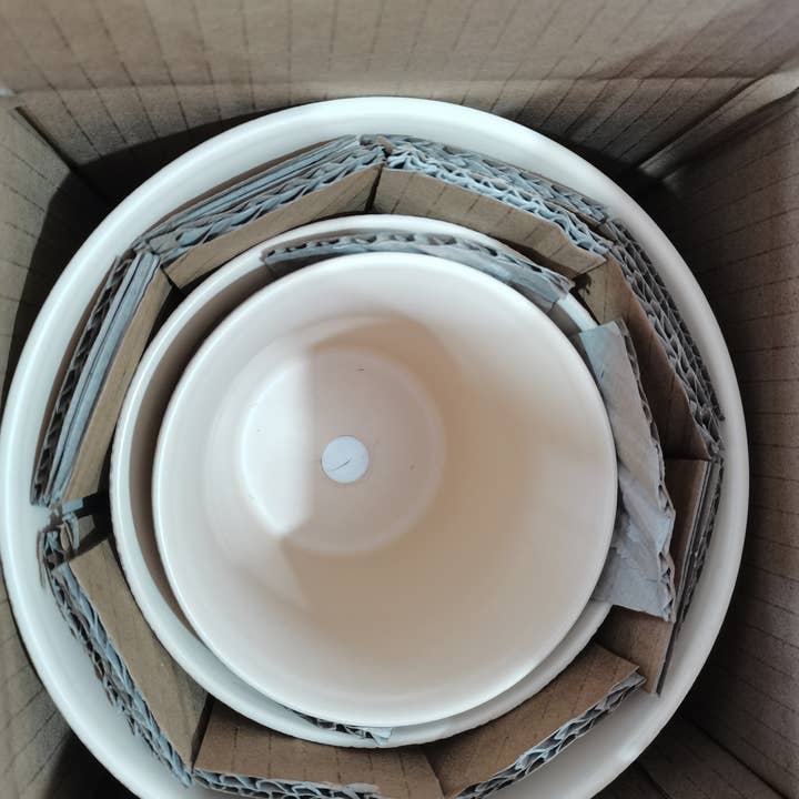 Blue Sky Clayworks - Wholesale Plant pot - BUTTERFLY 5" PLANTER,4''/5"/6.5" NESTED with 79108,791061