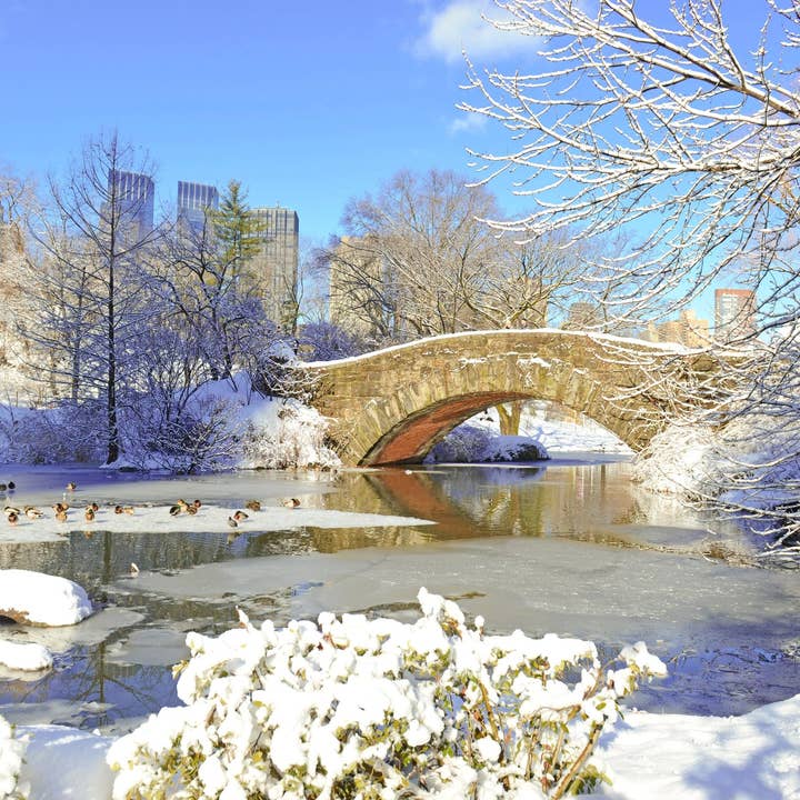 Merry Manhattan Incense Sticks for wholesale by Beaches of Tunisia, LLC