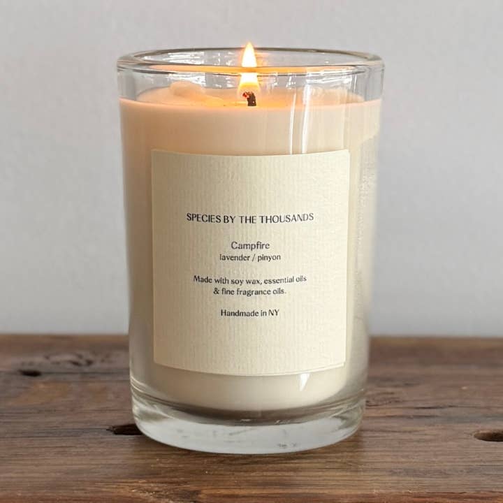 Campfire, Pinyon + Lavender Handcrafted Scented Soy Candle for wholesale by Species by the Thousands