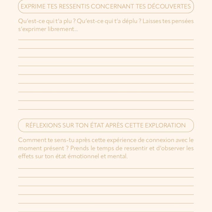 AVENTURA ÉDITIONS - Wholesale Notebook - Wellness Journal13