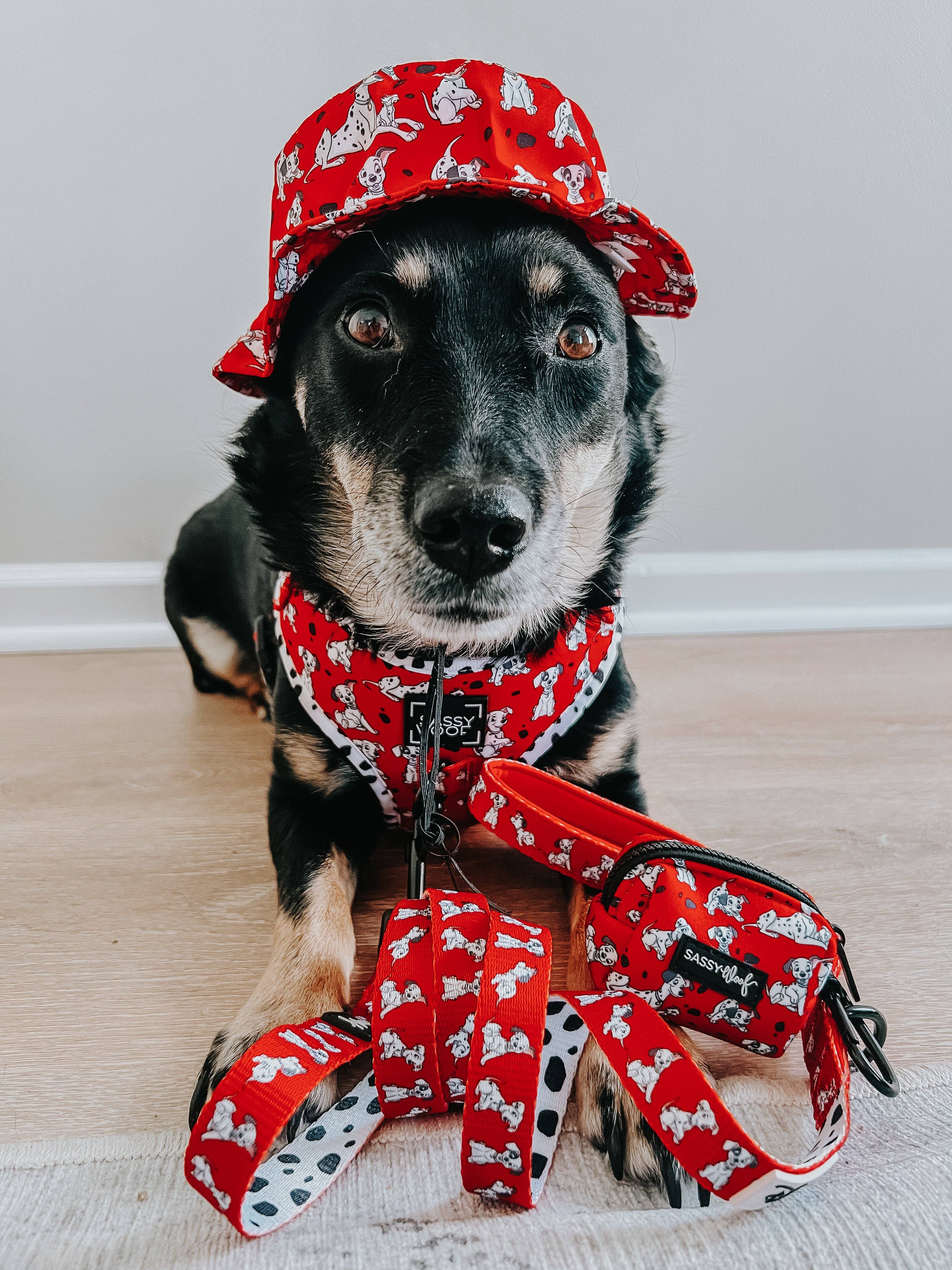 SASSY WOOF - Wholesale Pet Hat - Dog - Dog Bucket Hat - Disney's 101 Dalmatians8