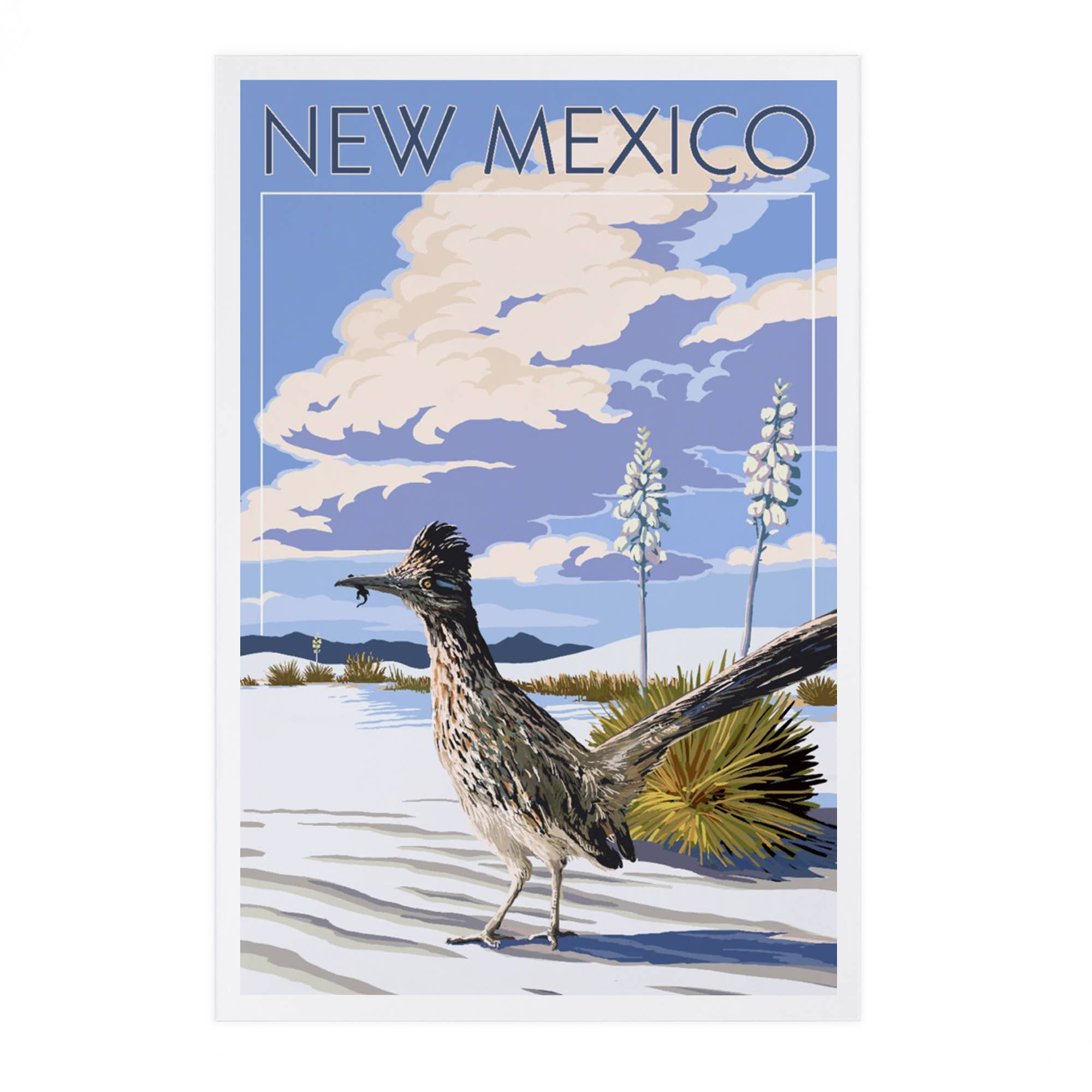 Lantern Press - Vente Cartes postales - CARTES POSTALES PREMIUM Nouveau-Mexique, scène Roadrunner0