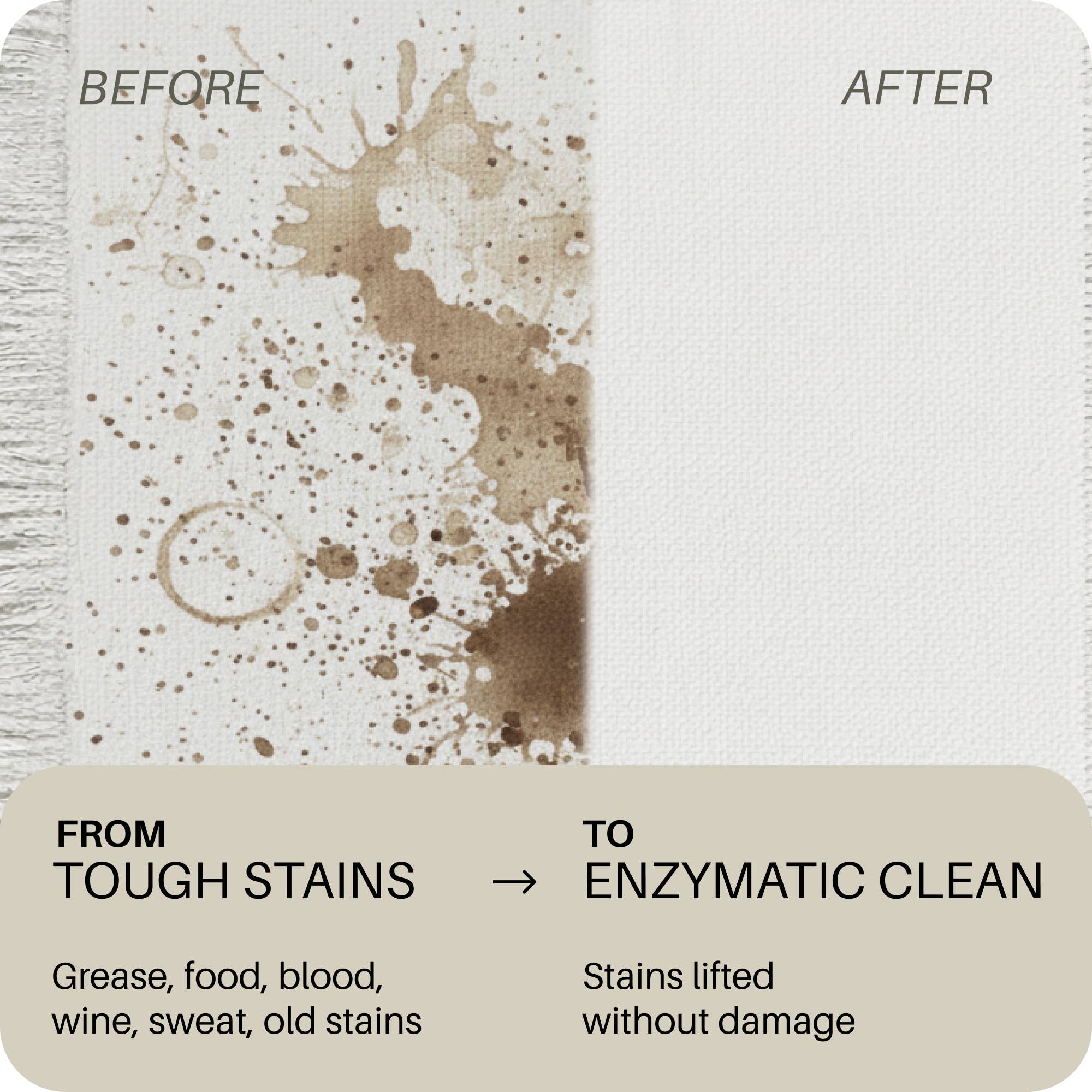 Everneat - Wholesale Stain Remover - Stain Remover Spray | Enzyme-powered laundry and upholstery3