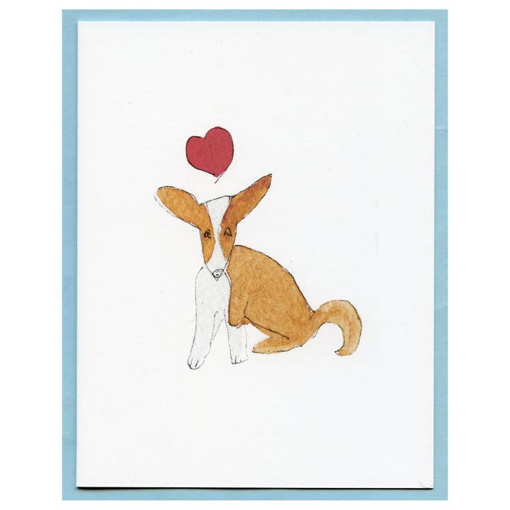 Liebe Doggie für den Großhandel von Zucchini Fish