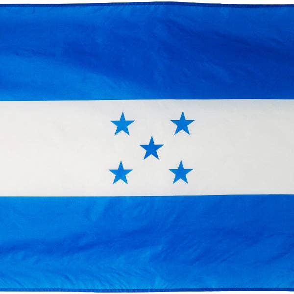 Fantasia Inc. - Wholesale Flag - 3 ft x 5 ft Polyester Country Flags20