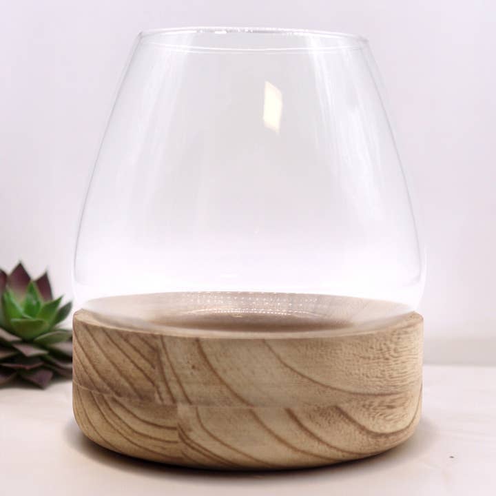 Grand terrarium en bois d'abrasin naturel, 17 x 19 cm pour la vente par AW Artisan
