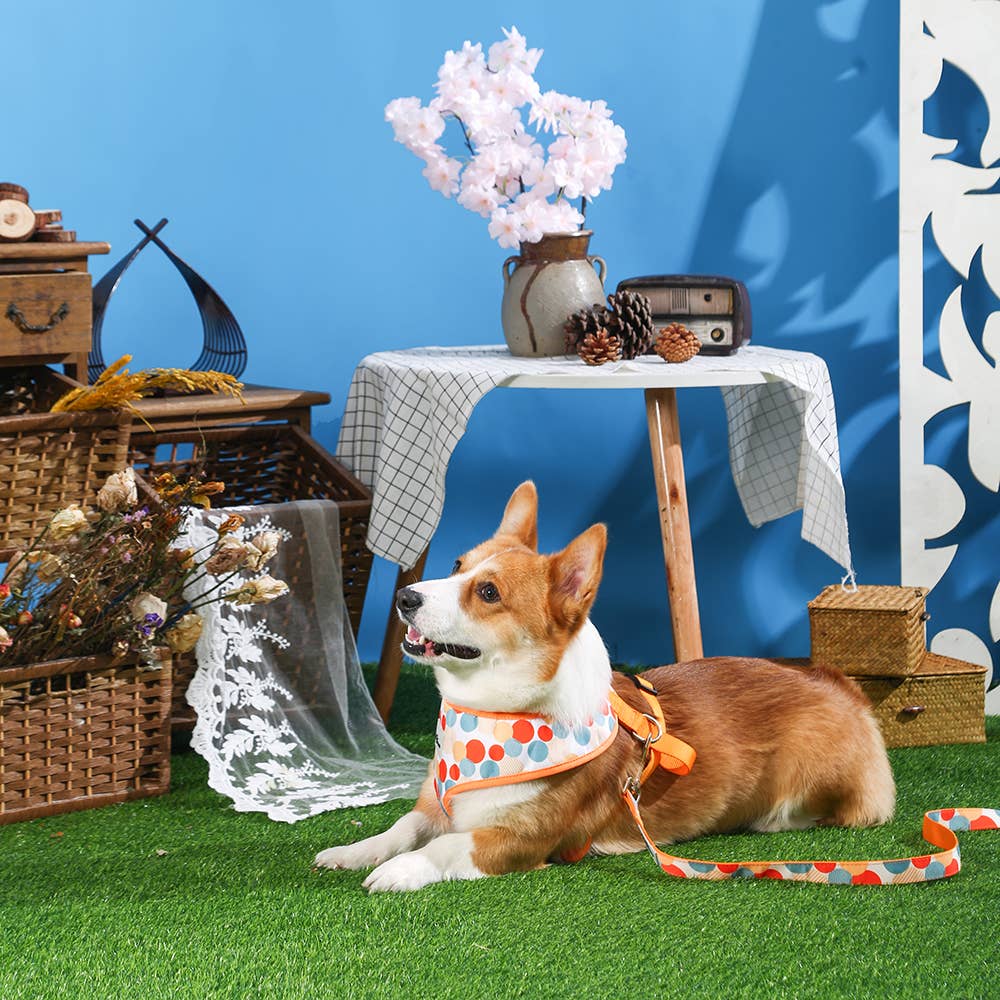 Hugsmart Products Inc – trela - Cão por atacado – HugSmart Pet - Coleira de cachorro | Dancing Dots5