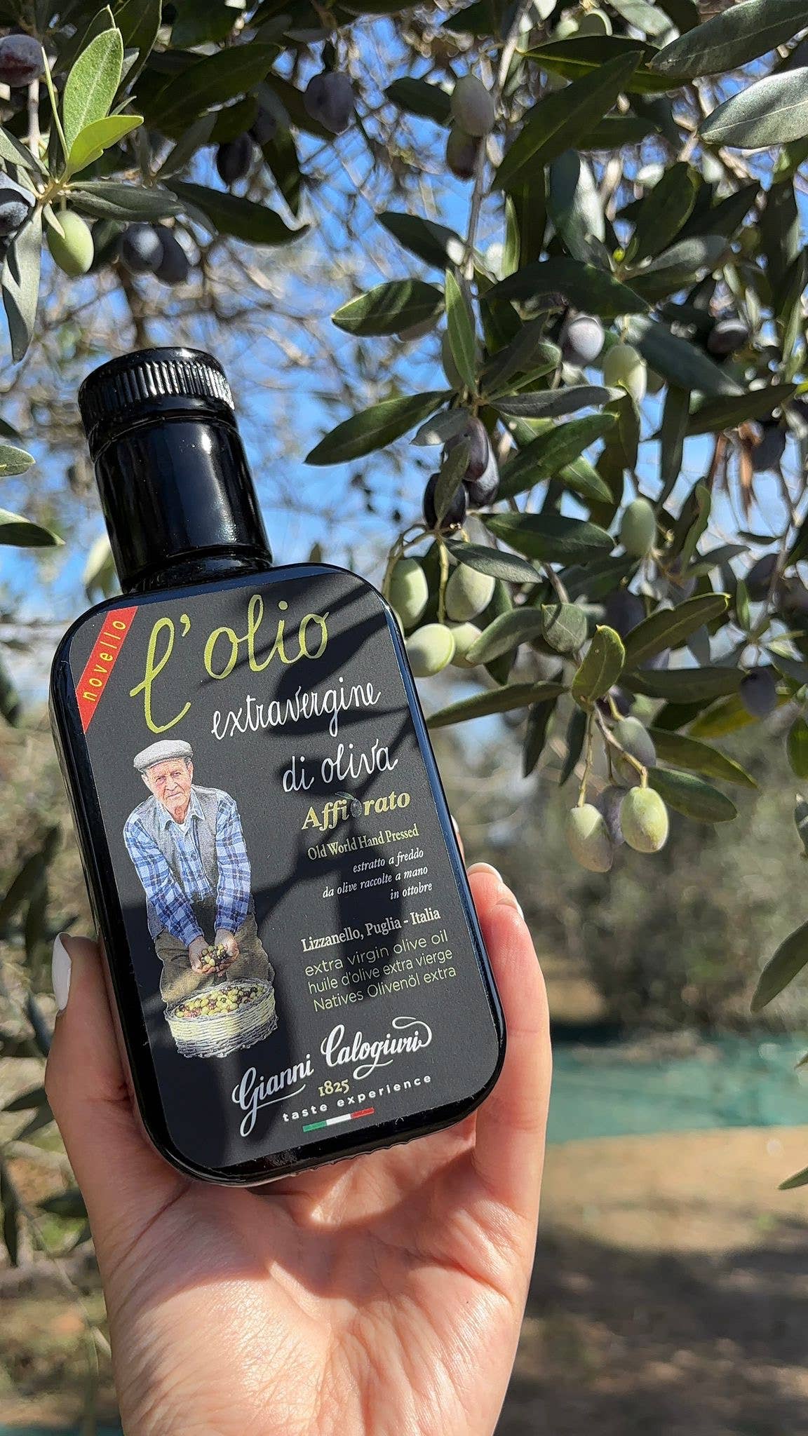 Vincotto Balsamico Gianni Calogiuri Azienda Agricola – wholesale Olivolja – TOP Affiorato Extra Virgin olivolja3