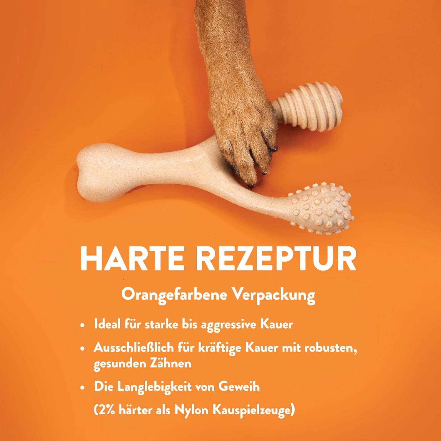 BetterBone – Großhandel Haustier-Kauspielzeug – Hund – DACH - Single: BetterBone / Small / Hard / Beef (SHB)3