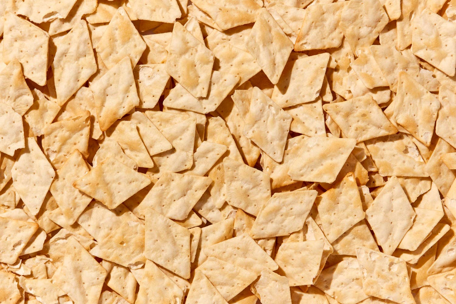 The Matzo Project - Wholesale Chips - Large Bag of Salted Matzo Chips1