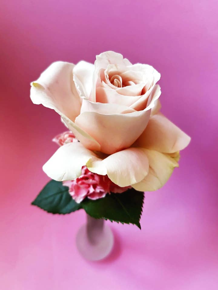 90'er Cloud Glass Bud Vase for engroshandel hos VIISIIONSS