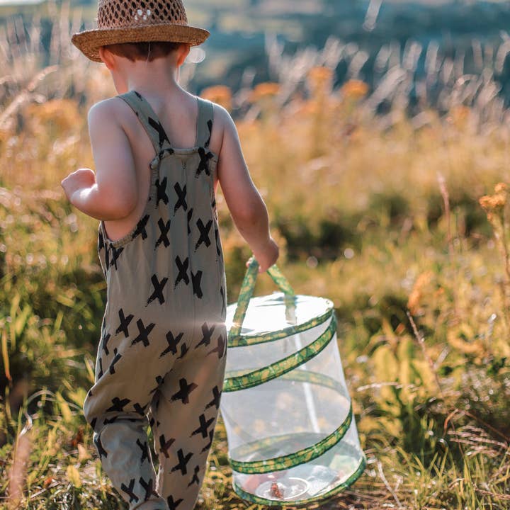 Insect Lore – Großhandel Bastelset – Kinder – Schmetterlingsgarten (Erlösung)4