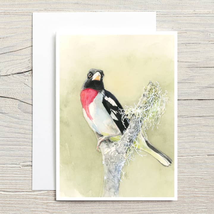 Noord-Amerikaanse fauna: Roodborstgrosbeak voor wholesale door Christy Obalek Illustration