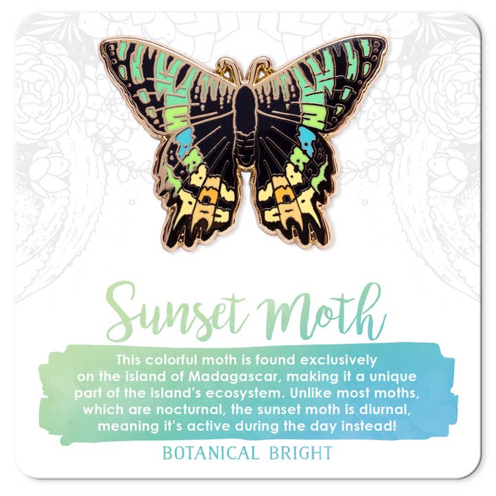 Épinglette émaillée de Madagascar Sunset Moth pour la vente par Botanical Bright