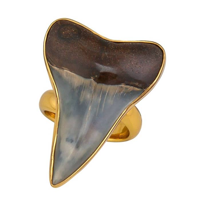 Alchemia Fossil Shark Tooth Adjustable Ring for wholesale by Charles Albert Inc
