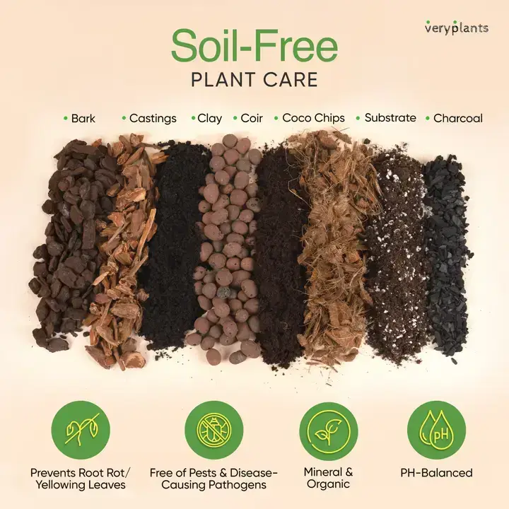 Veryplants Inc - Wholesale Planting/Potting Soil - Molly's Aroid Mix - Premium Soilless Potting Mix - 5 Quarts3