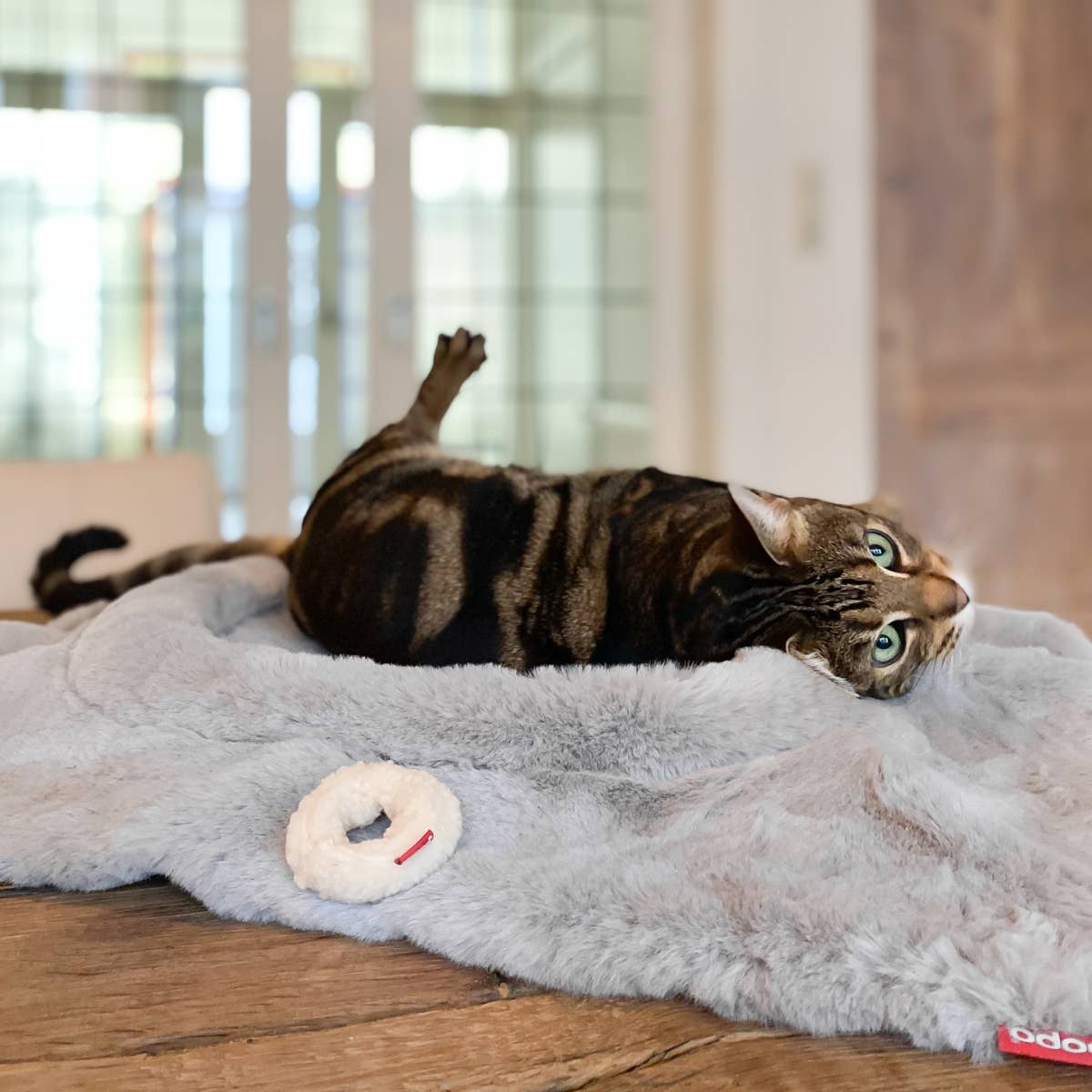 Hoopo - Wholesale Pet Bed - Cat - Flip Cat bed8