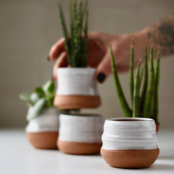 Gravesco Pottery - Wholesale Plant pot - Assorted Small Planter Pots | White 2 inch handmade4