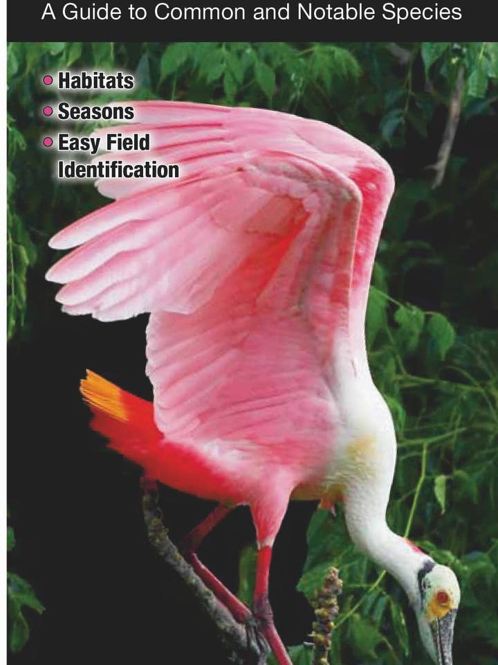 Birds of Louisiana for wholesale by Quick Reference Publishing, Inc