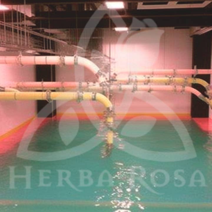 Herba Rosa – Engroshandel Tarotkort – LIMINAL SPACE TAROT dæk | Baseret på Rider-Waite-Smith Deck5