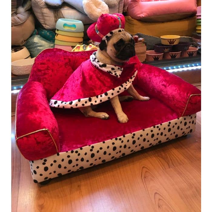 PetLondon - Wholesale Pet costume – Cat/dog - Royal Crown & Cape for Dog King or Queen4